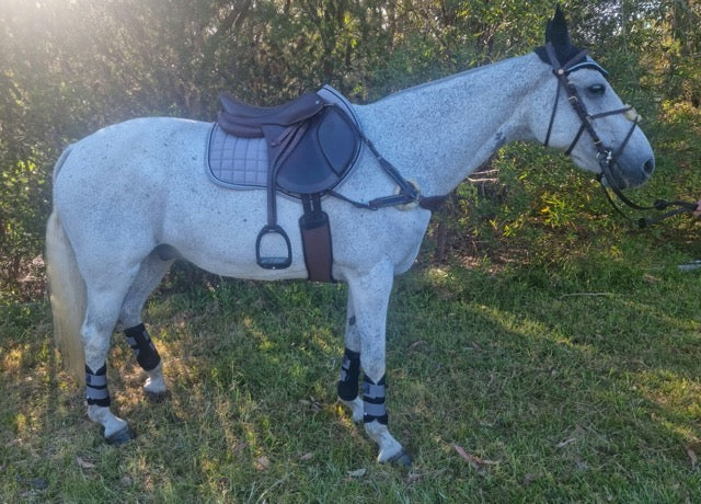 Elegant Quilt Saddle Pad