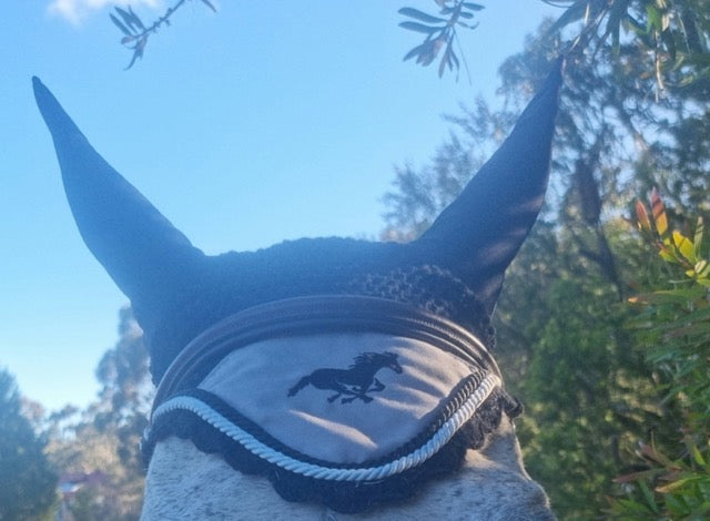 Pop of Colour Fly Hood