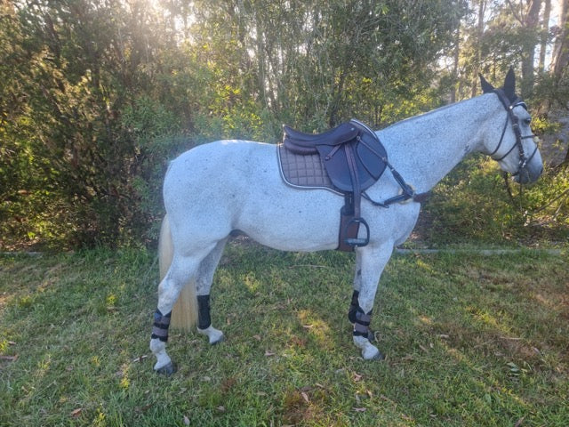 Elegant Quilt Saddle Pad