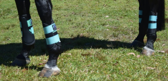 Neoprene Brush Boots
