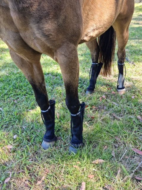 Miniature horse sale fly boots