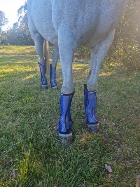 Mini horse fly on sale boots